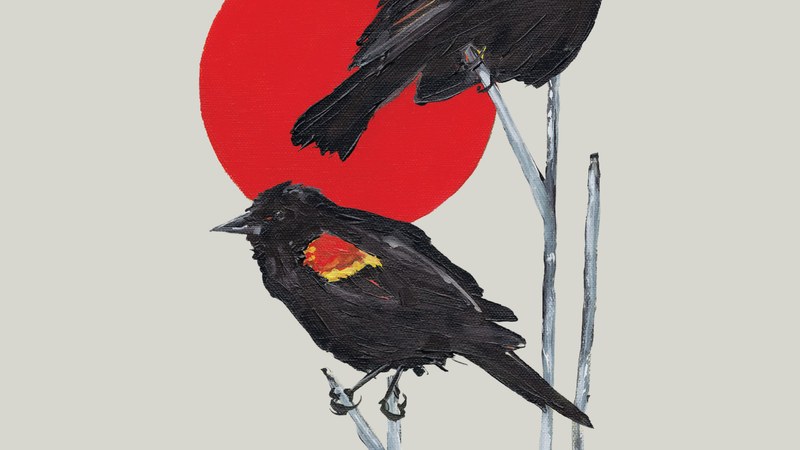 Artist illustration considered for a small range of cotton tea towels.